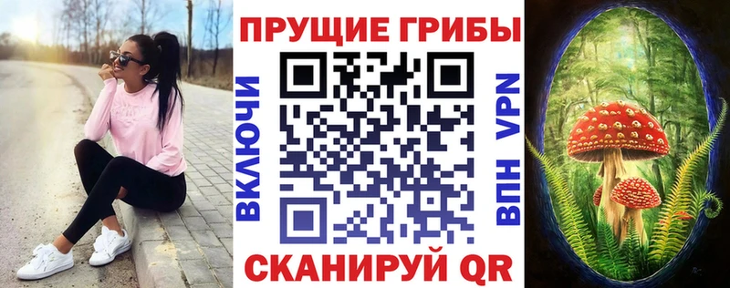 Галлюциногенные грибы ЛСД  где найти наркотики  блэк спрут ссылки  Цивильск 